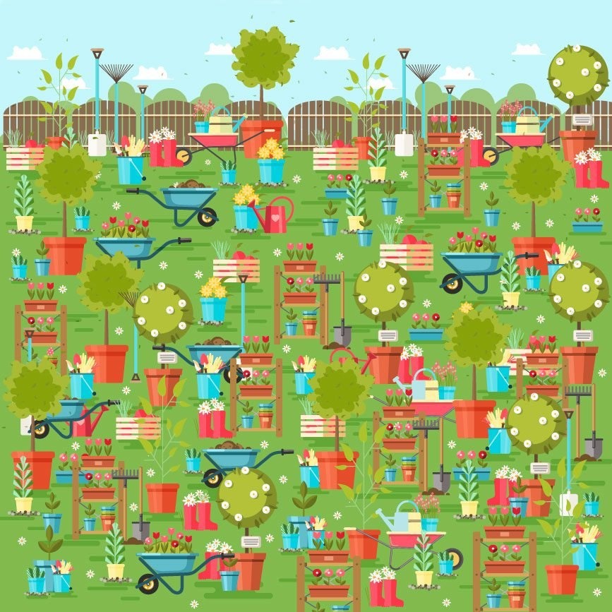 thu tai tim do vat anh 2