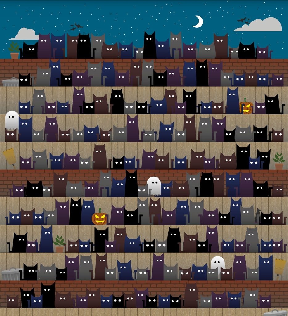 thu tai tim do vat anh 6