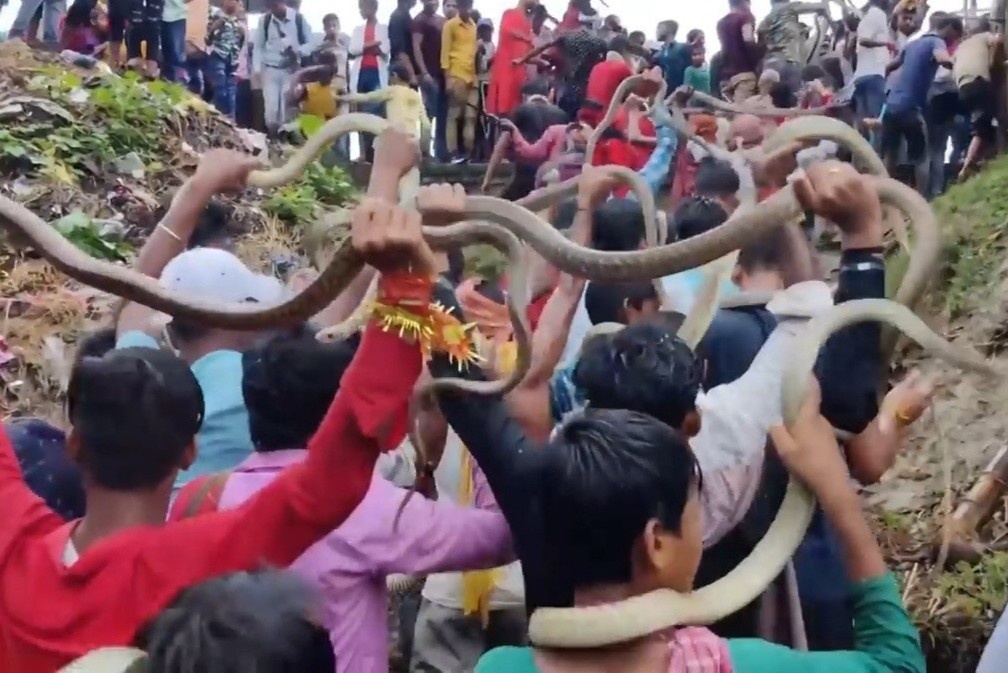 Hang tram nguoi dieu hanh cung ran o An Do hinh anh