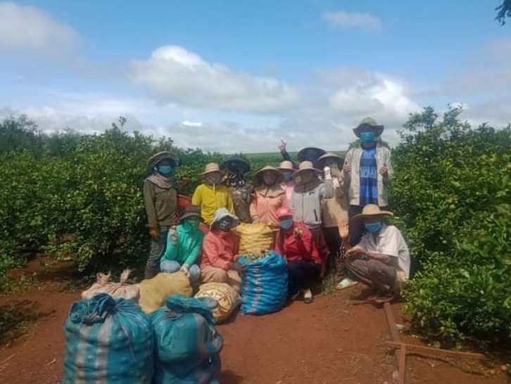 ung ho nguoi ngheo tai tphcm anh 1