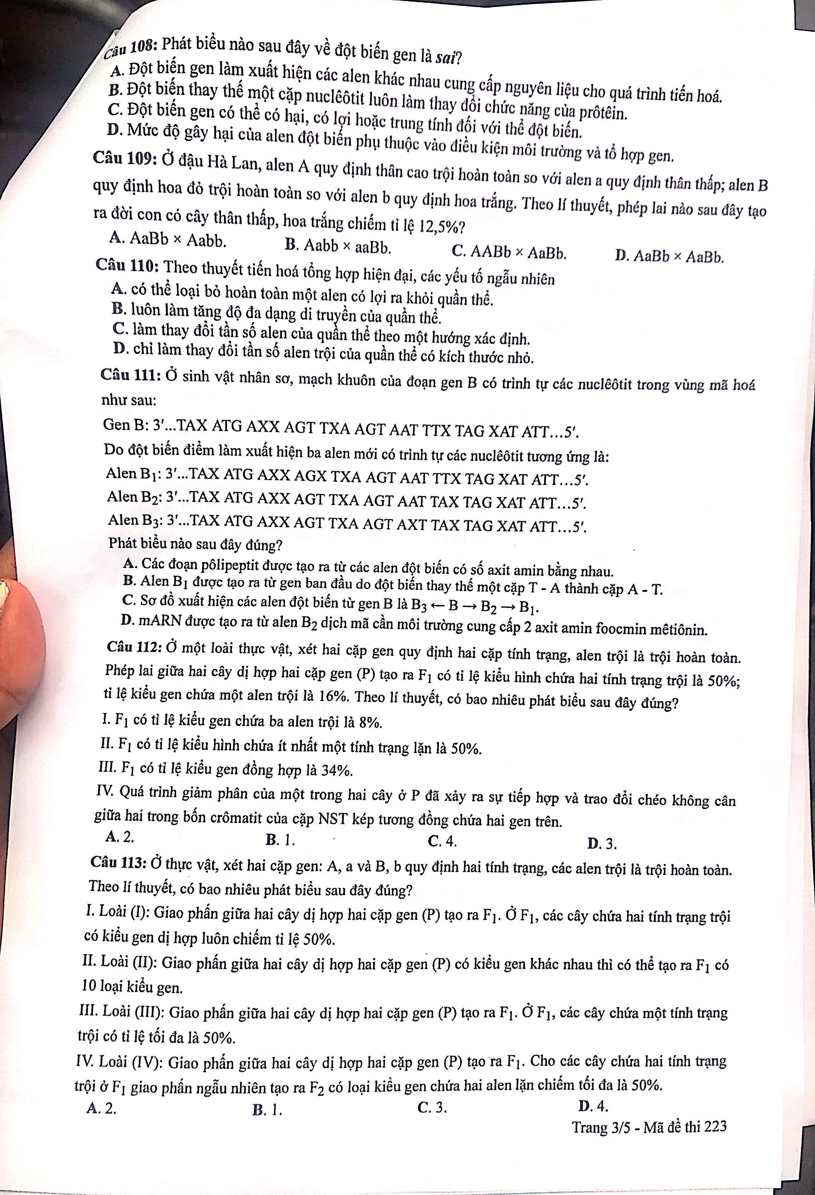 dap an mon sinh tot nghiep THPT 2022 anh 4