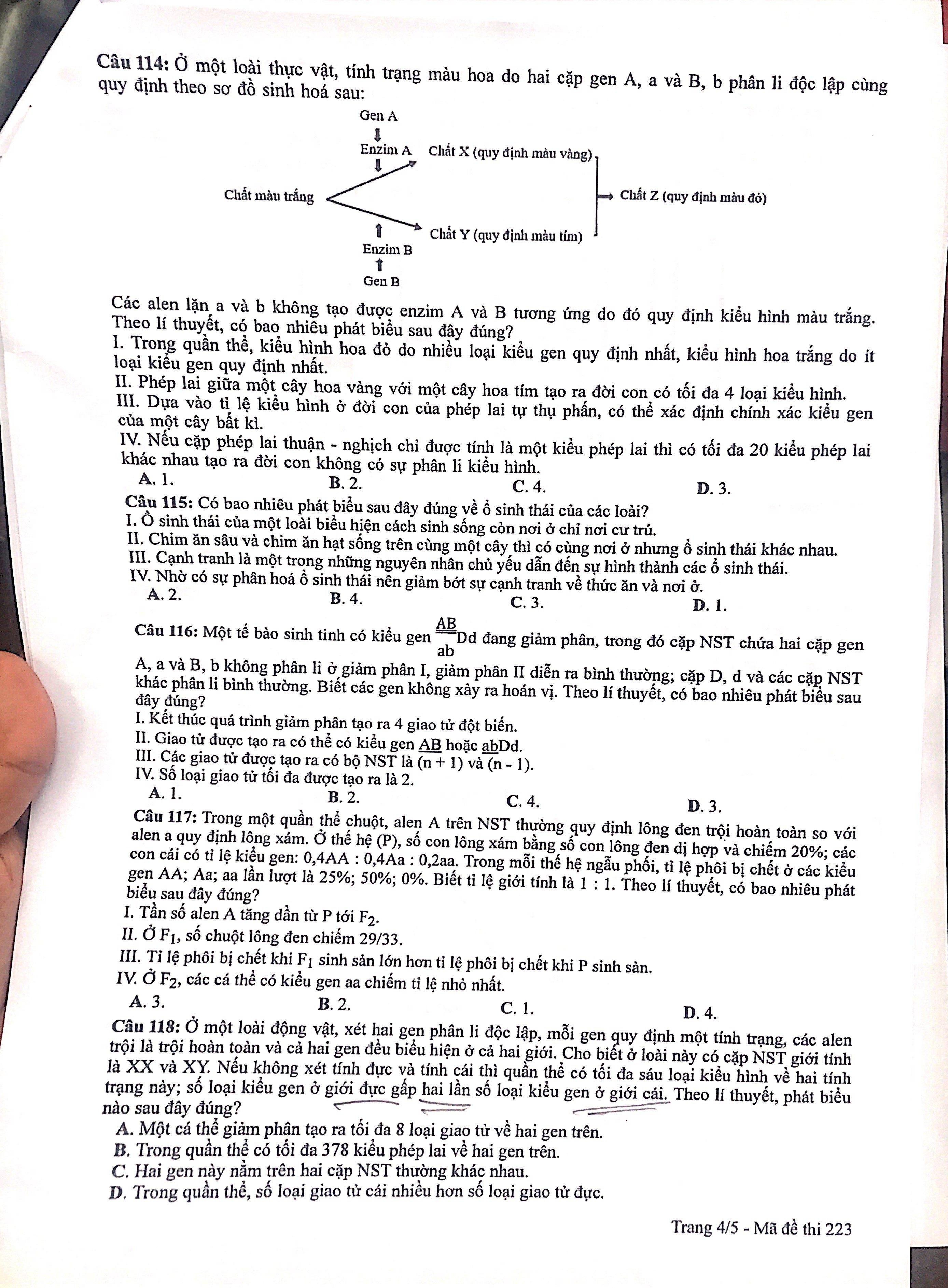 dap an mon sinh tot nghiep THPT 2022 anh 5