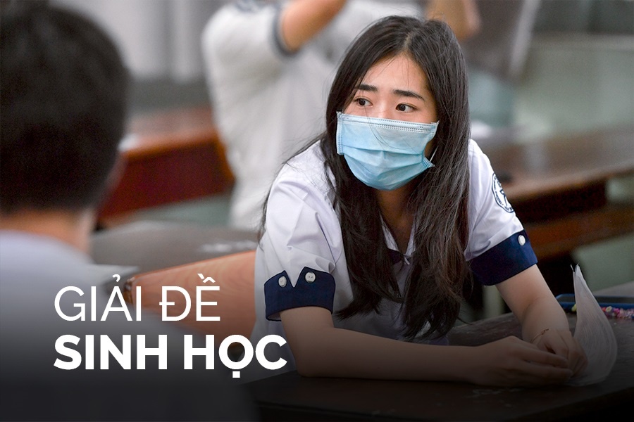 Goi y dap an mon Sinh hoc tot nghiep THPT 2022 hinh anh