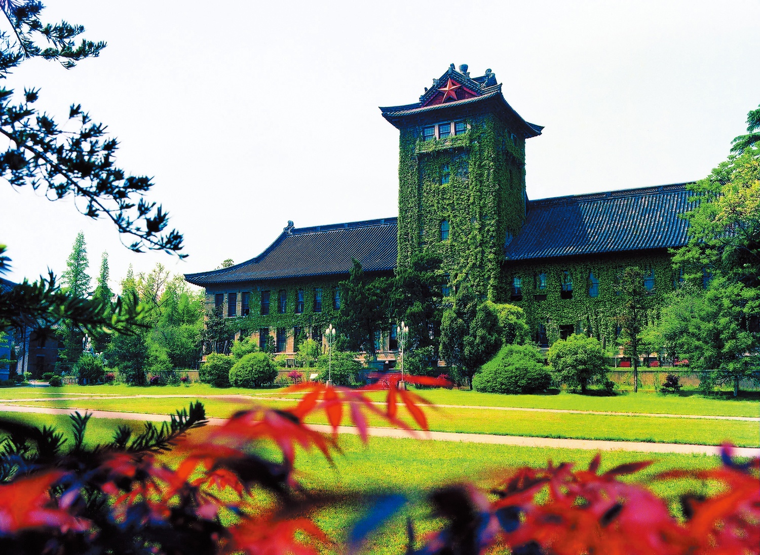 xep hang dai hoc o nen kinh te moi noi anh 8