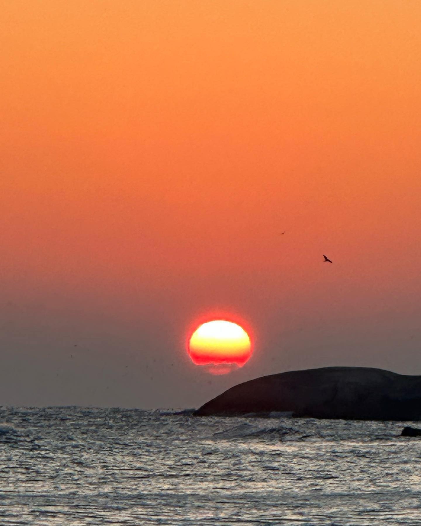 Tet cua du hoc sinh anh 3