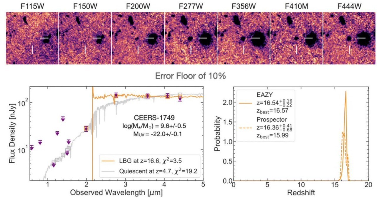 Ten cua loai virus anh 4