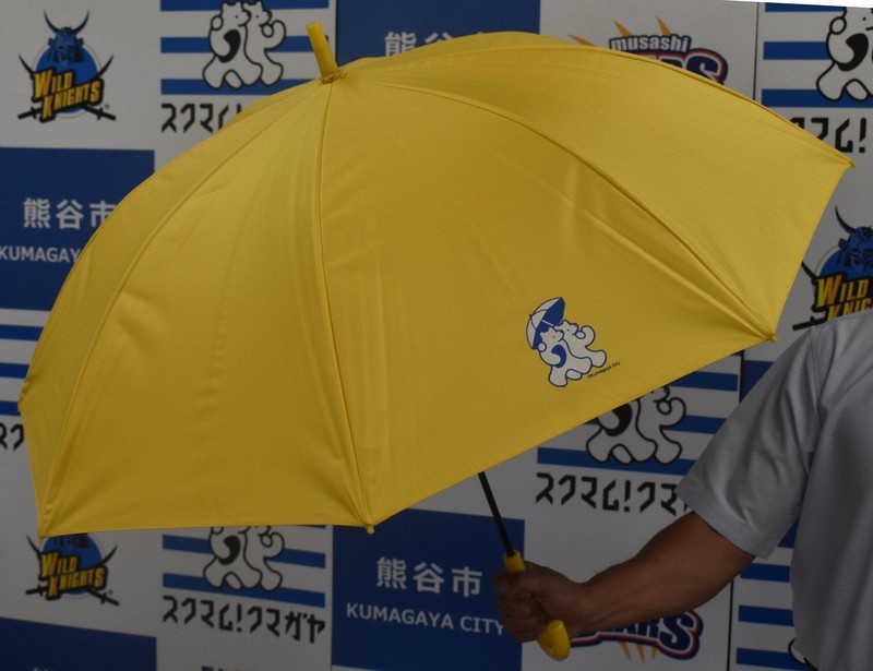 ho chieu moi Viet Nam anh 4