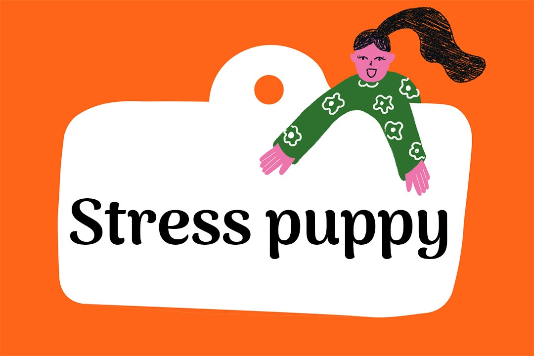 Stress puppy nghĩa là gì ảnh 1 Stress puppy nghia la gi anh 1