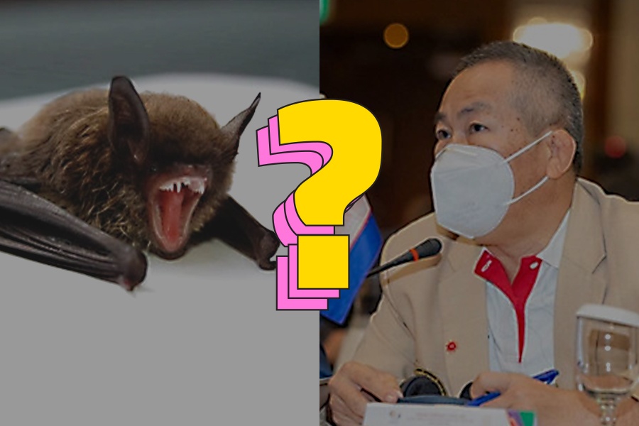 Virus bi an giong SARS-CoV-2 duoc phat hien tai nuoc nao? hinh anh