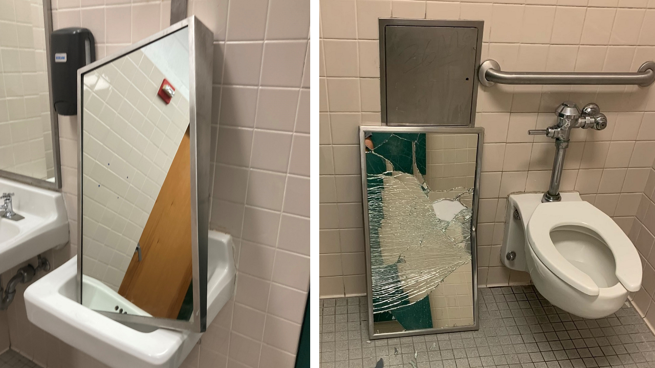 trao luu doc hai TikTok anh 2