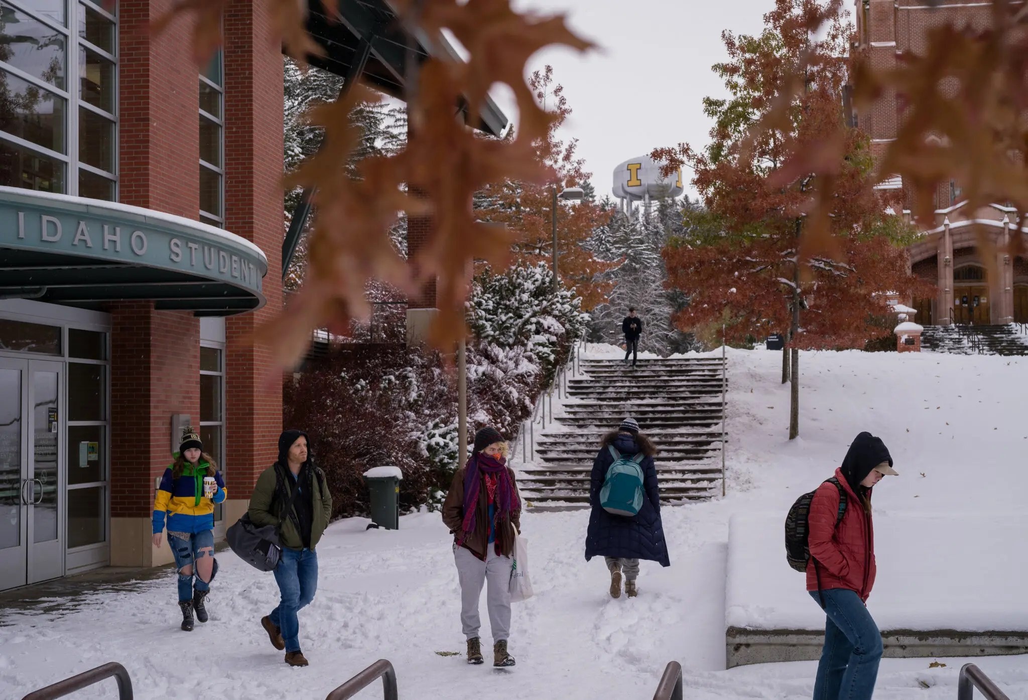 Sinh vien DH My so hai, khong dam tro lai truong sau vu dam dao hinh anh