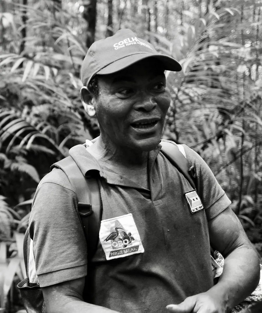 loài Otus bikegila ảnh 1 loai Otus bikegila anh 1