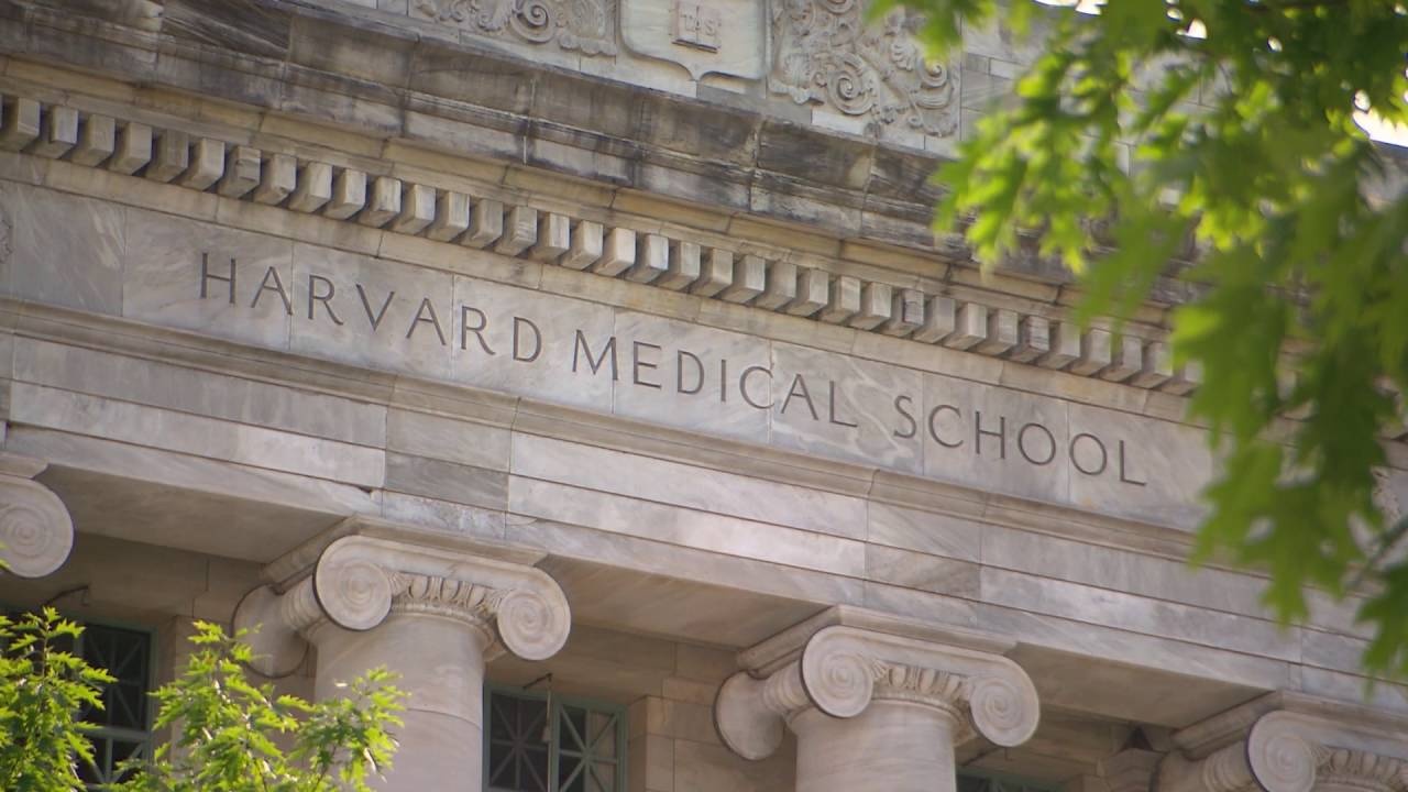 Truong Y Harvard mo khoa hoc ve tre so sinh LGBTQIA+ hinh anh