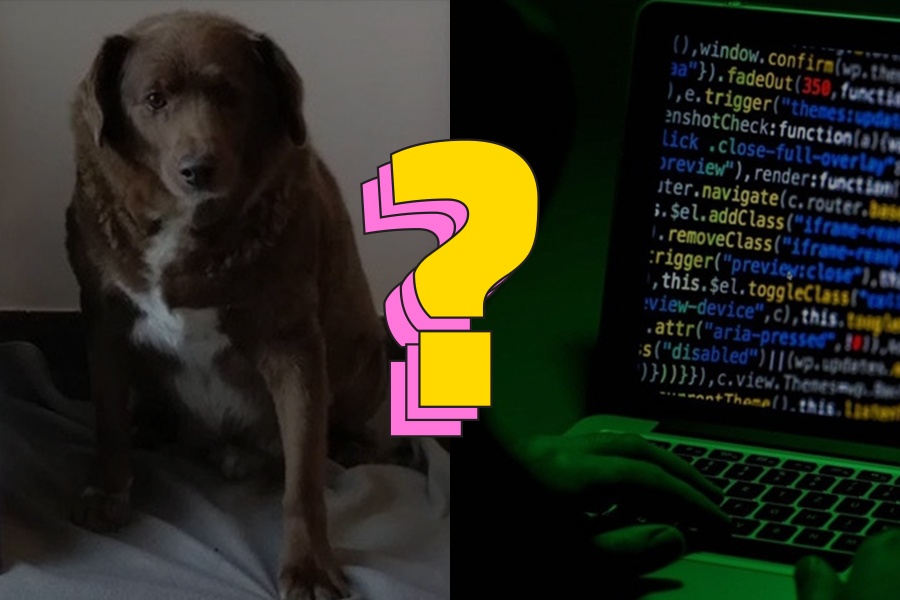 Chu cho lap ky luc the gioi hinh anh