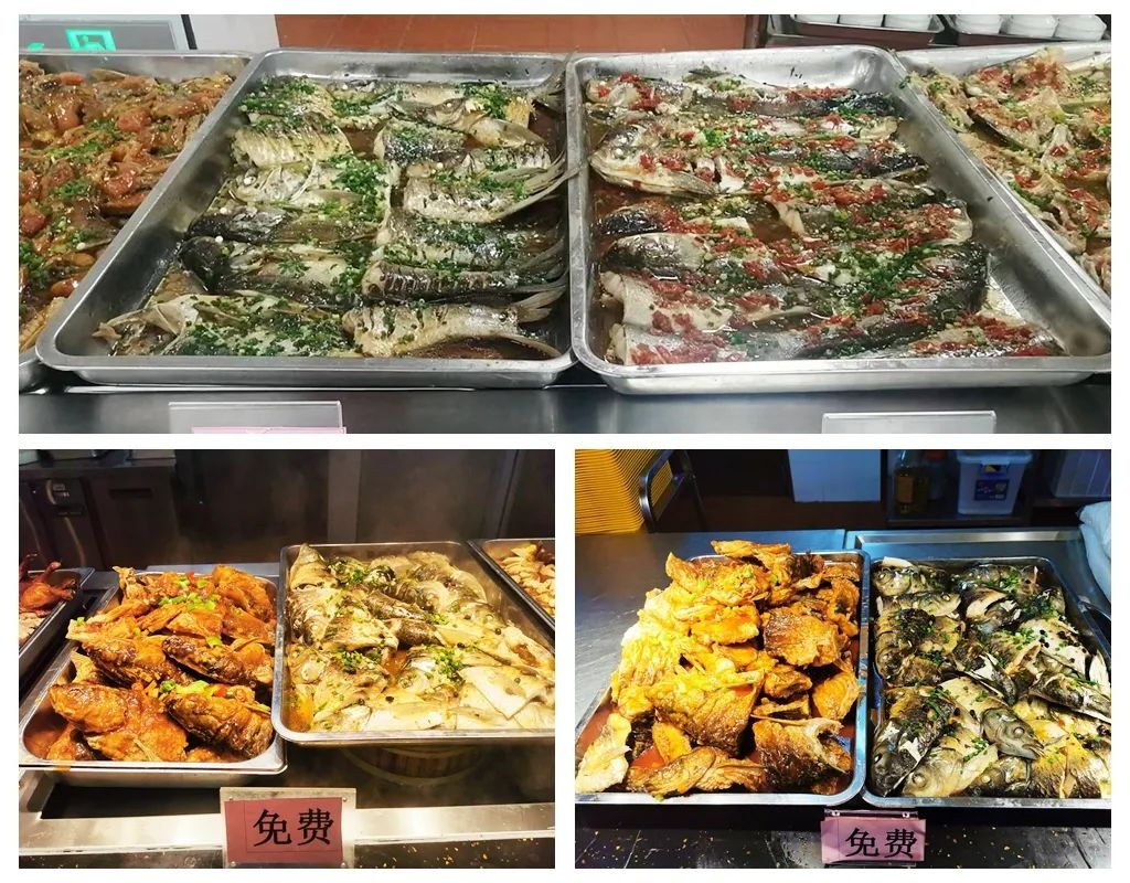 trường bắt 3 tấn cá ảnh 2 truong bat 3 tan ca anh 2