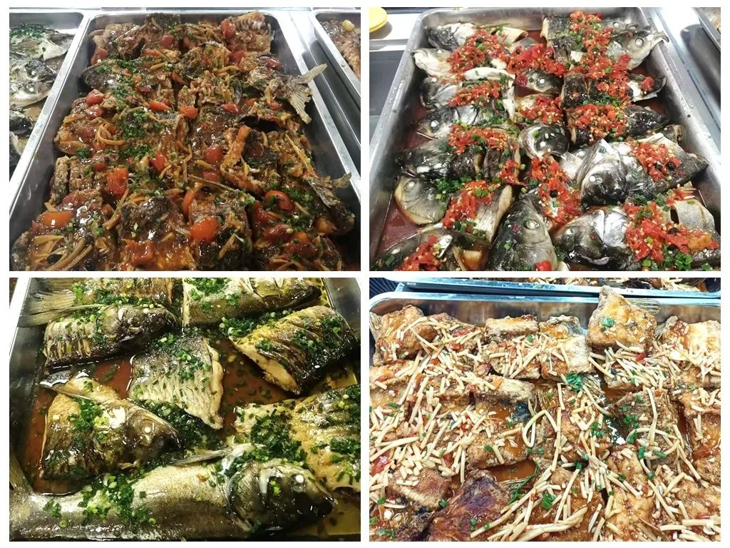 trường bắt 3 tấn cá ảnh 1 truong bat 3 tan ca anh 1