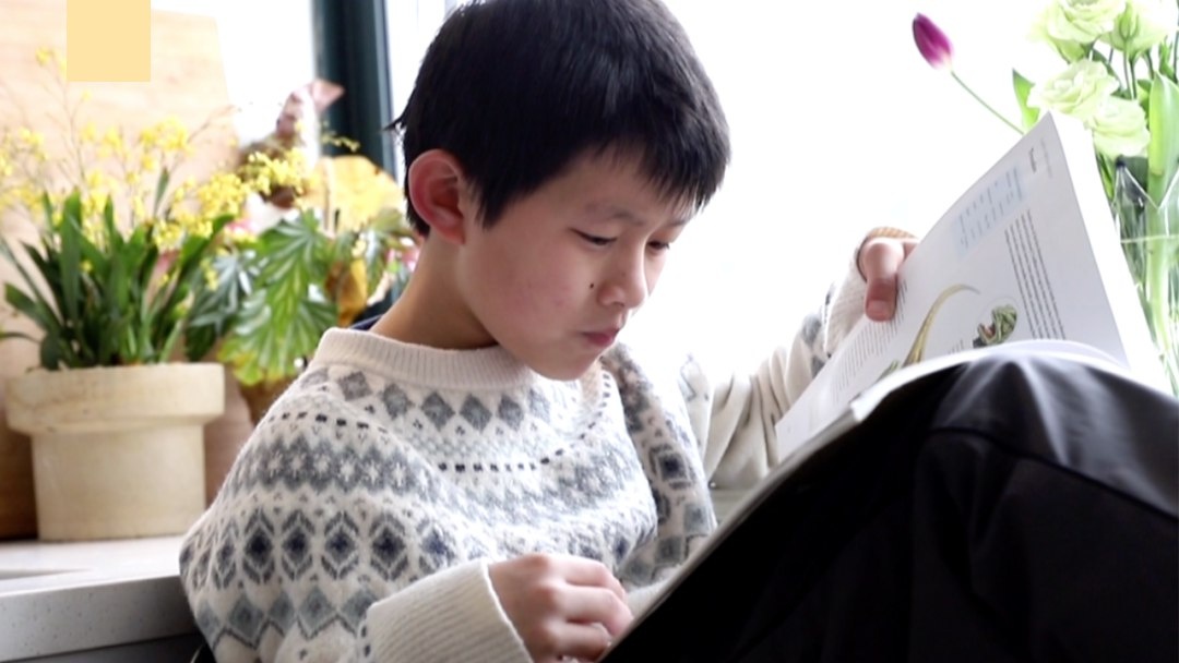 Hoc sinh lop 3 o Trung Quoc chi ra loi sai, nha xuat ban phai sua sach hinh anh