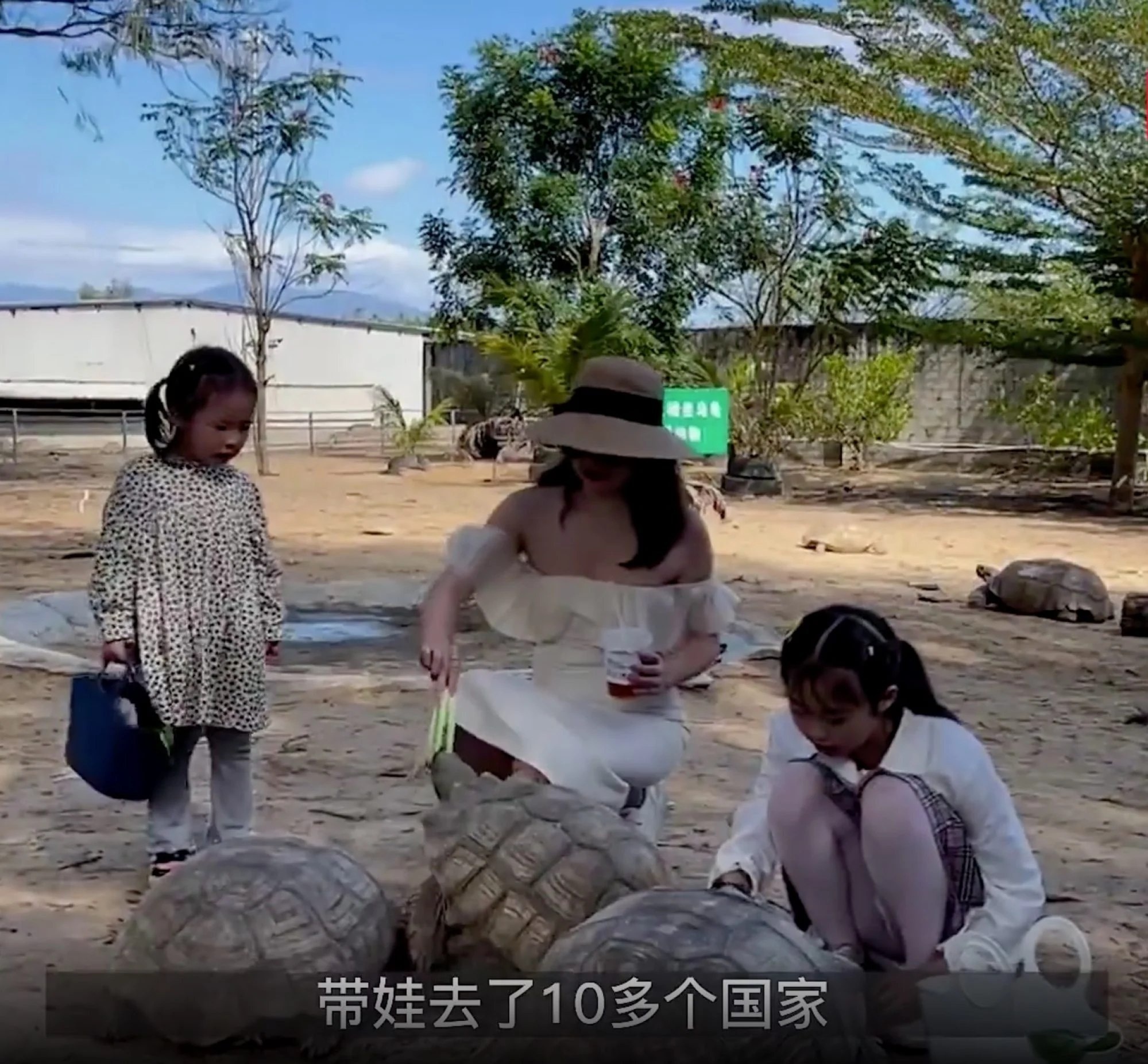 hoc cach choi cung con anh 2