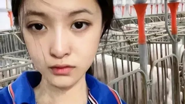 Kiem hon 14.500 USD nho viec nuoi lon sau khi tot nghiep dai hoc hinh anh