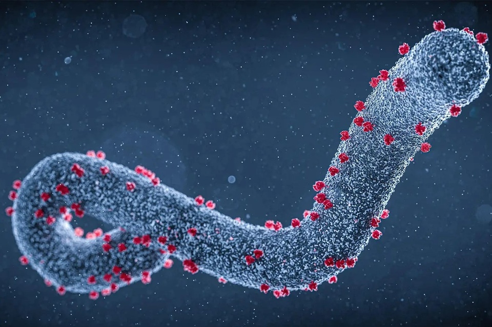 gia hoa dan so anh 4