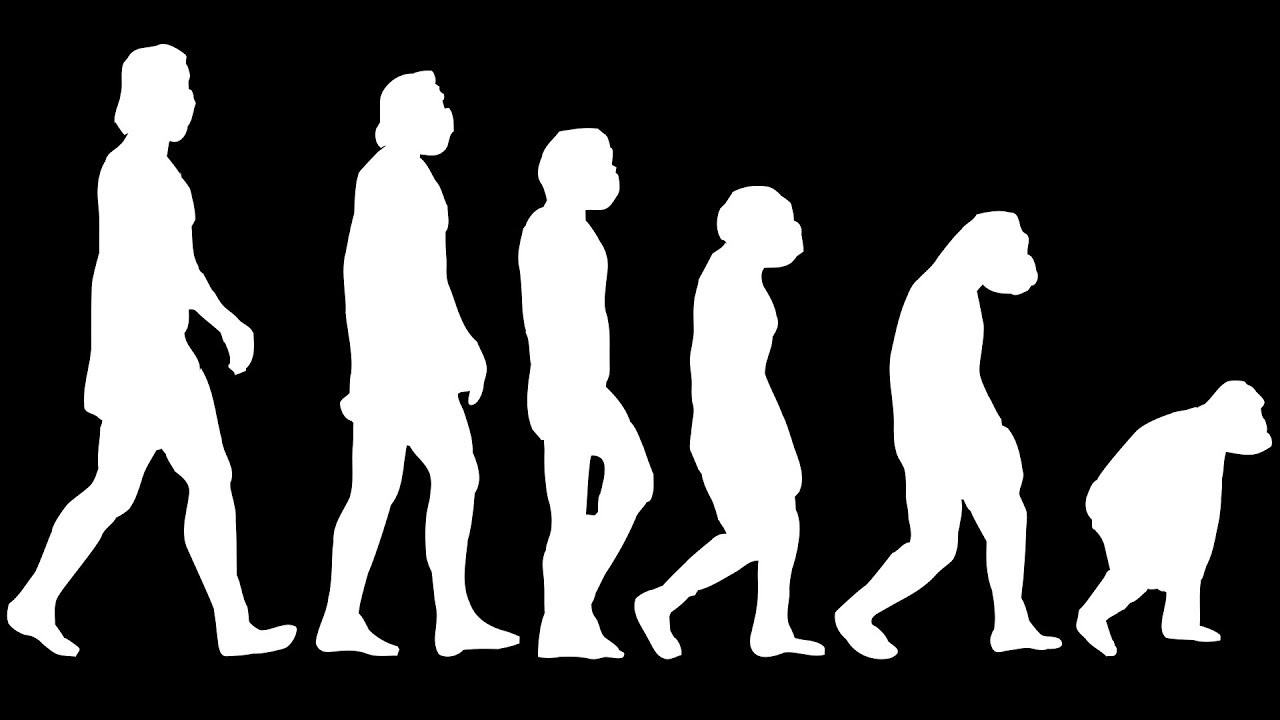 Dieu se xay ra neu con nguoi tien hoa nguoc hinh anh