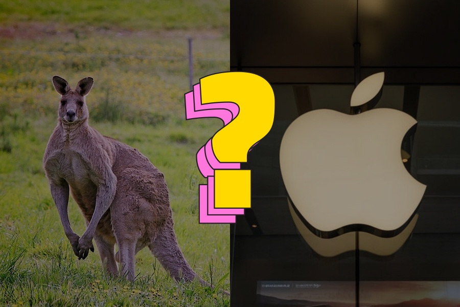 Quoc gia keu goi nguoi dan giet dong vat bieu tuong cua dat nuoc hinh anh