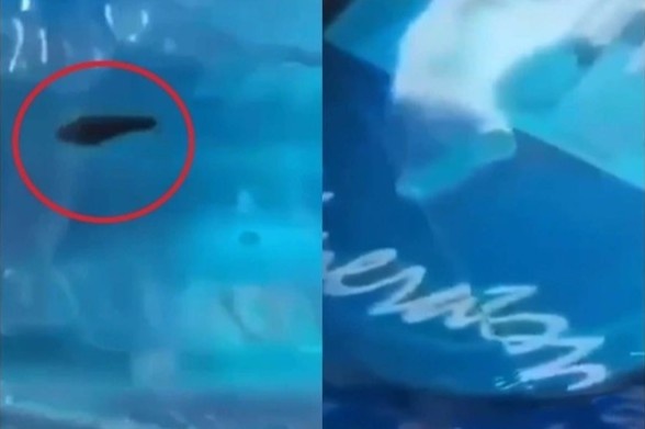 Vu dia trong binh nuoc o truong mam non: Cong ty bi phat 38 trieu dong hinh anh