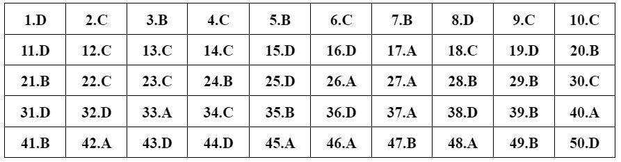 dap an 24 de Toan anh 11