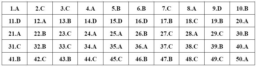 dap an 24 de Toan anh 2