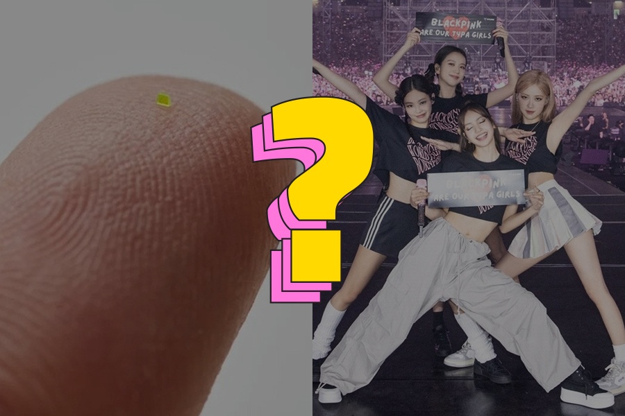 Gia ban cua chiec tui nho hon hat muoi bien hinh anh