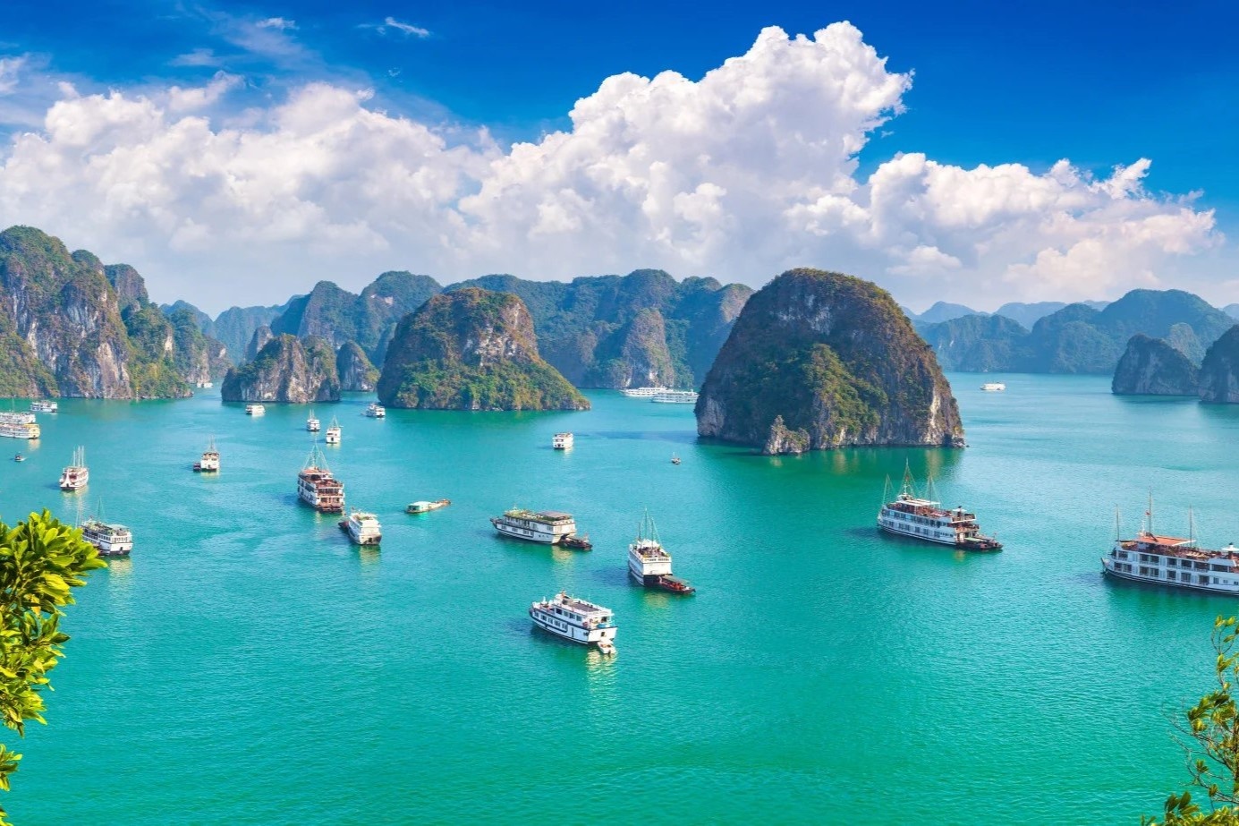 Vinh Ha Long lot ca top nen den va khong nen den nam 2024 hinh anh
