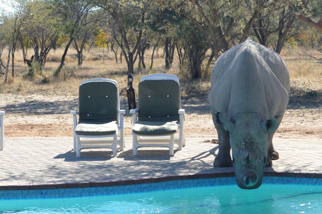 du lich ben vung anh 2