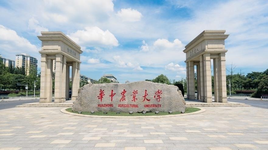 11 sinh vien Trung Quoc lam don 125 trang to cao giao su dao van hinh anh