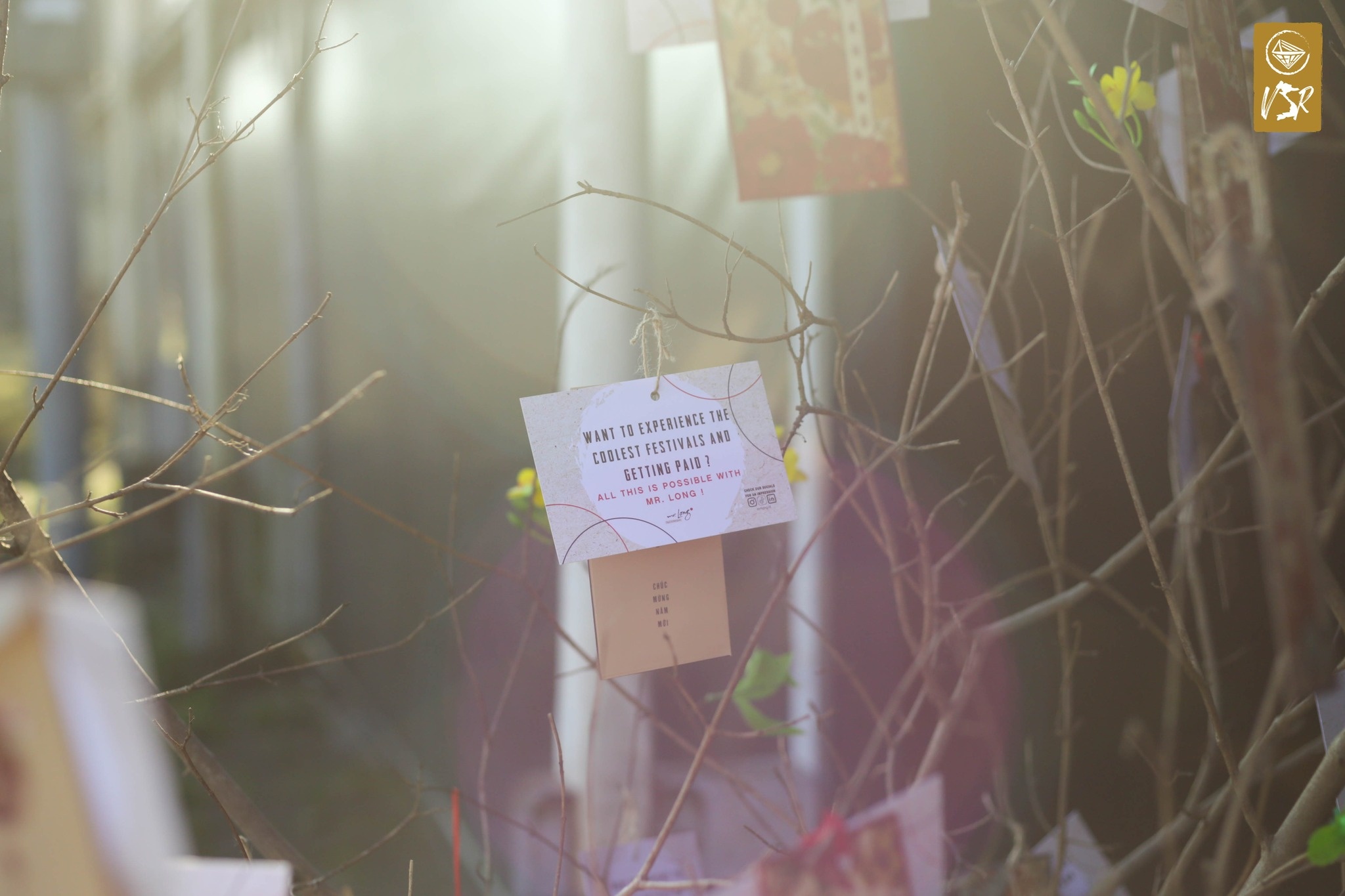 Tet cua du hoc sinh anh 6