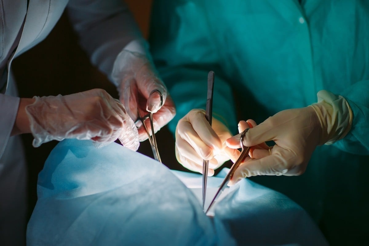 Bac si Trung Quoc lan dau ghep gan lon cho nguoi hinh anh