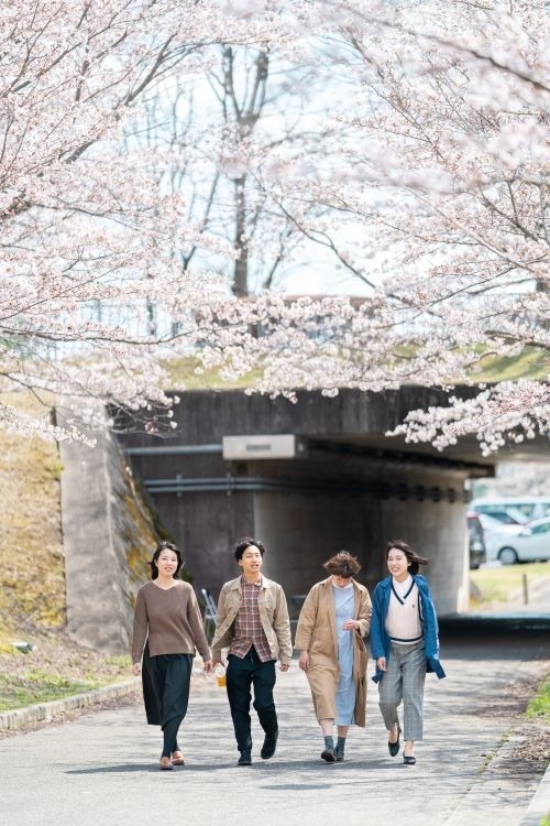 hoa anh đào nhật bản ảnh 9 hoa anh dao nhat ban anh 9