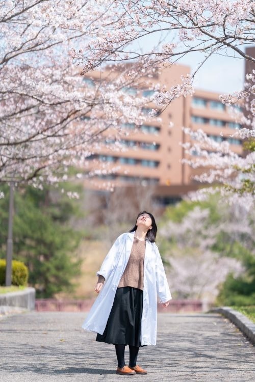 hoa anh đào nhật bản ảnh 8 hoa anh dao nhat ban anh 8