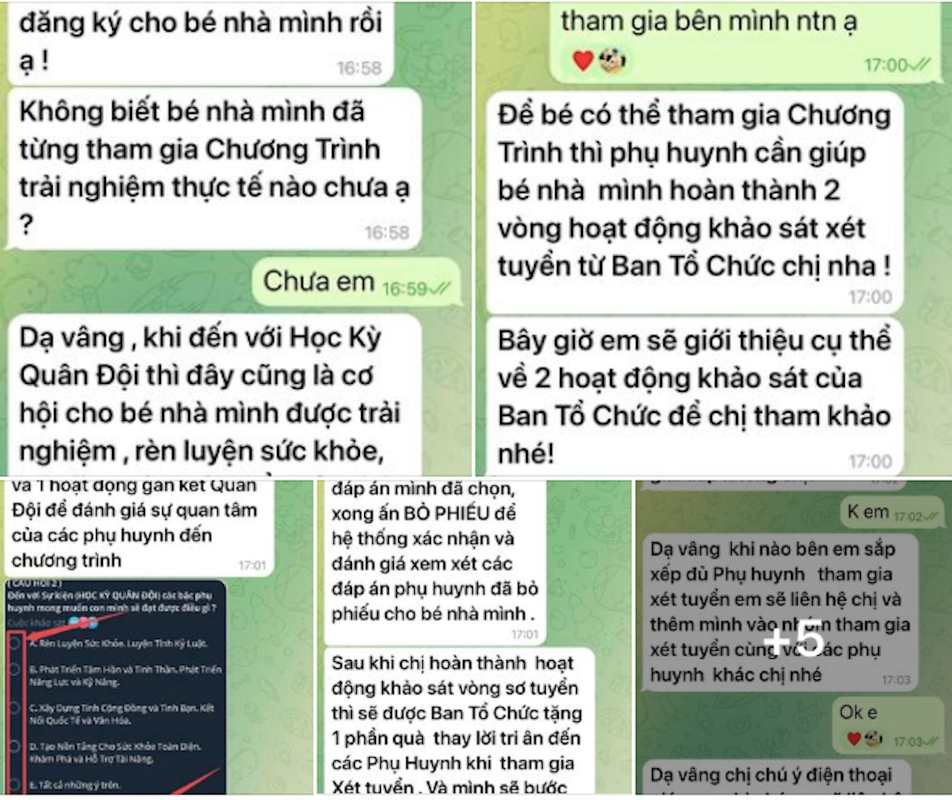 lừa đảo trại hè ảnh 1 lua dao trai he anh 1