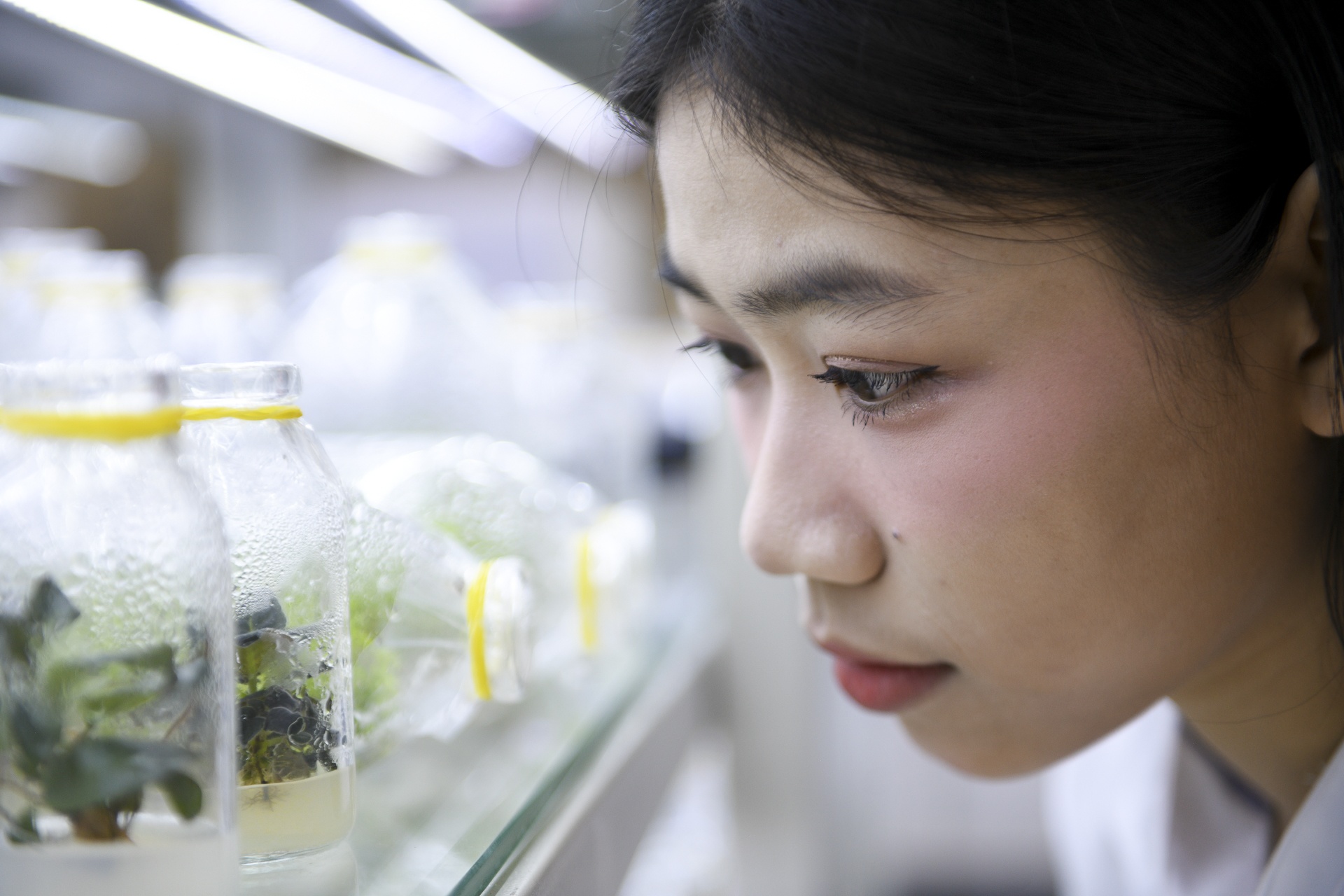 Ben trong truong dai hoc lau doi rong hon 10.000 m2 o TP.HCM hinh anh