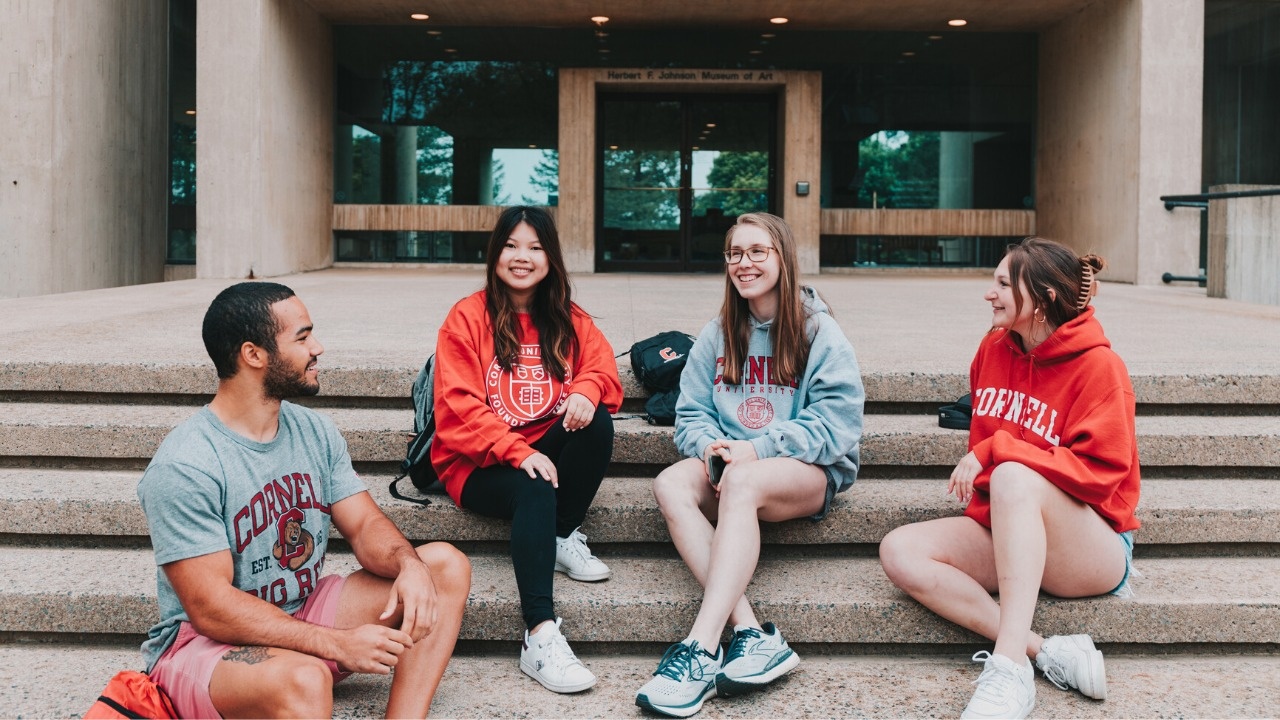 Ivy League la gi anh 4