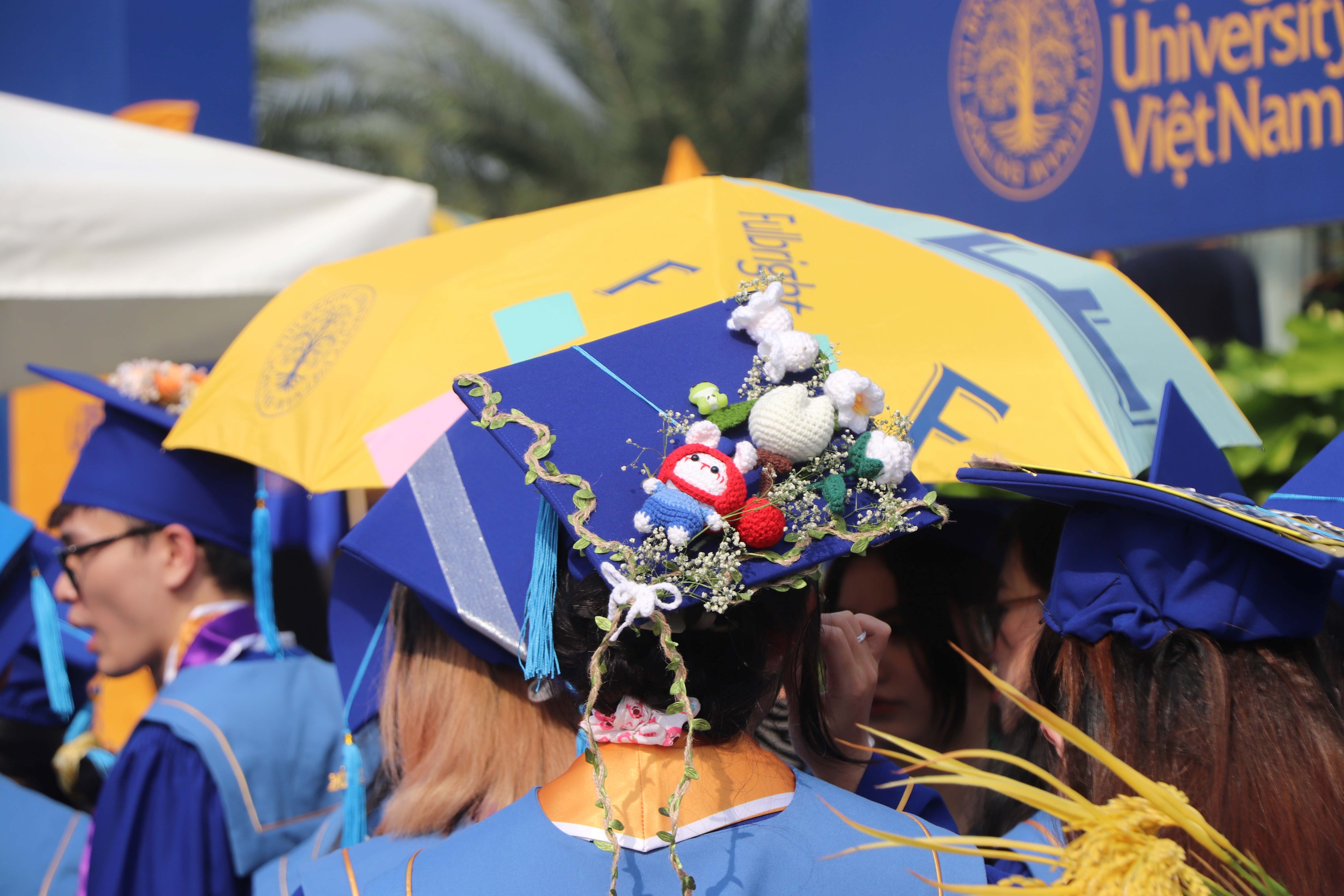 dai hoc fulbright viet nam anh 4