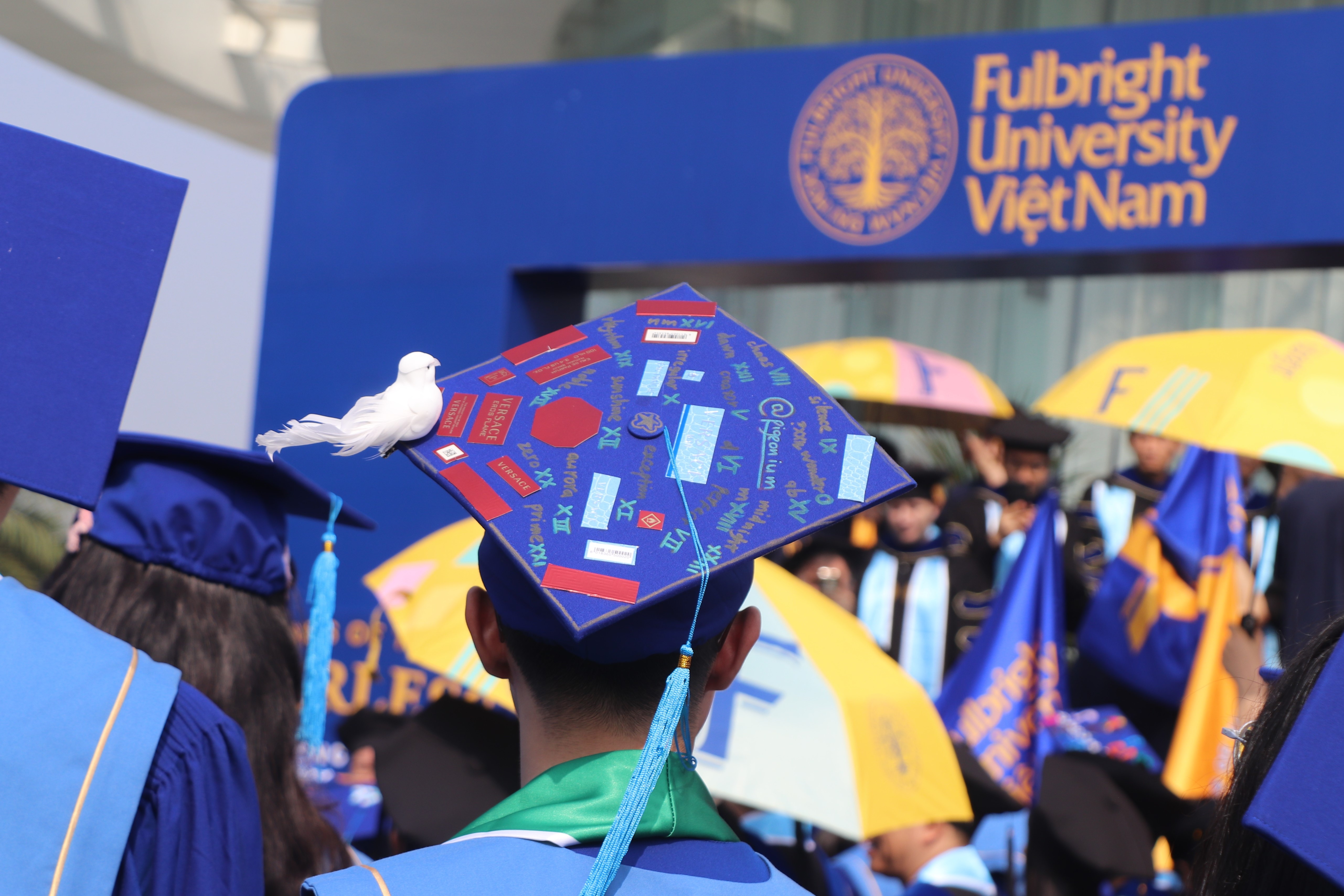 dai hoc fulbright viet nam anh 2