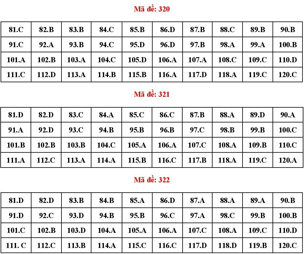 dap an de hoa anh 10