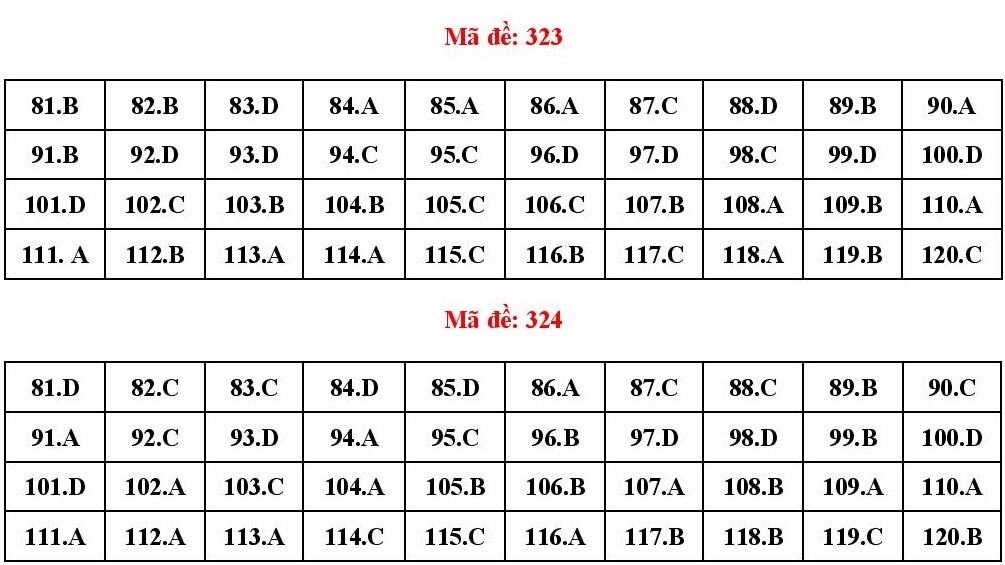 dap an de hoa anh 11