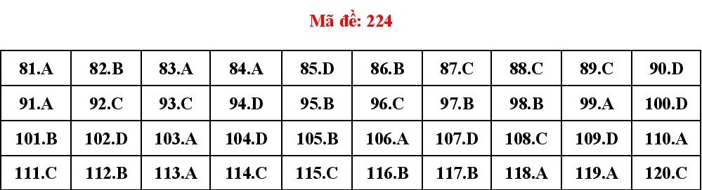 dap an de sinh anh 13