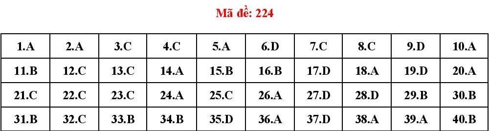 dap an de vat ly anh 11