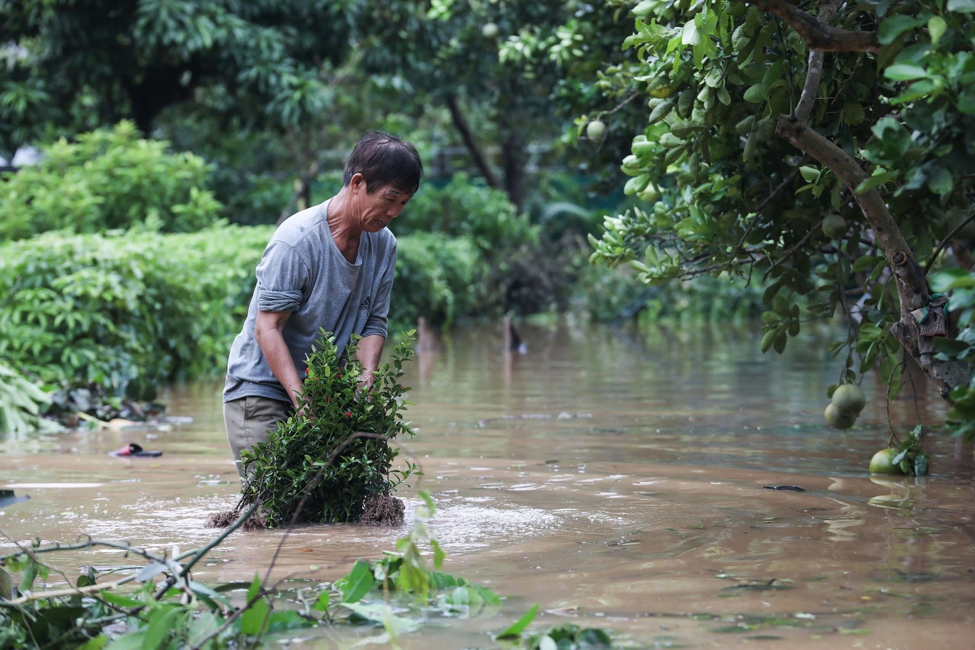TP.HCM keu goi giao vien, hoc sinh ung ho dong bao vung bao lu hinh anh