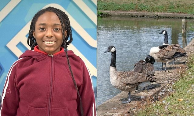 Hoc sinh THCS phat hien hop chat chong ung thu hinh anh