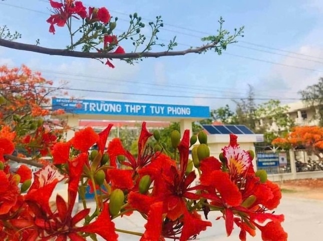 Cong an vao cuoc vu giao vien bi to lam nu sinh lop 10 mang thai hinh anh