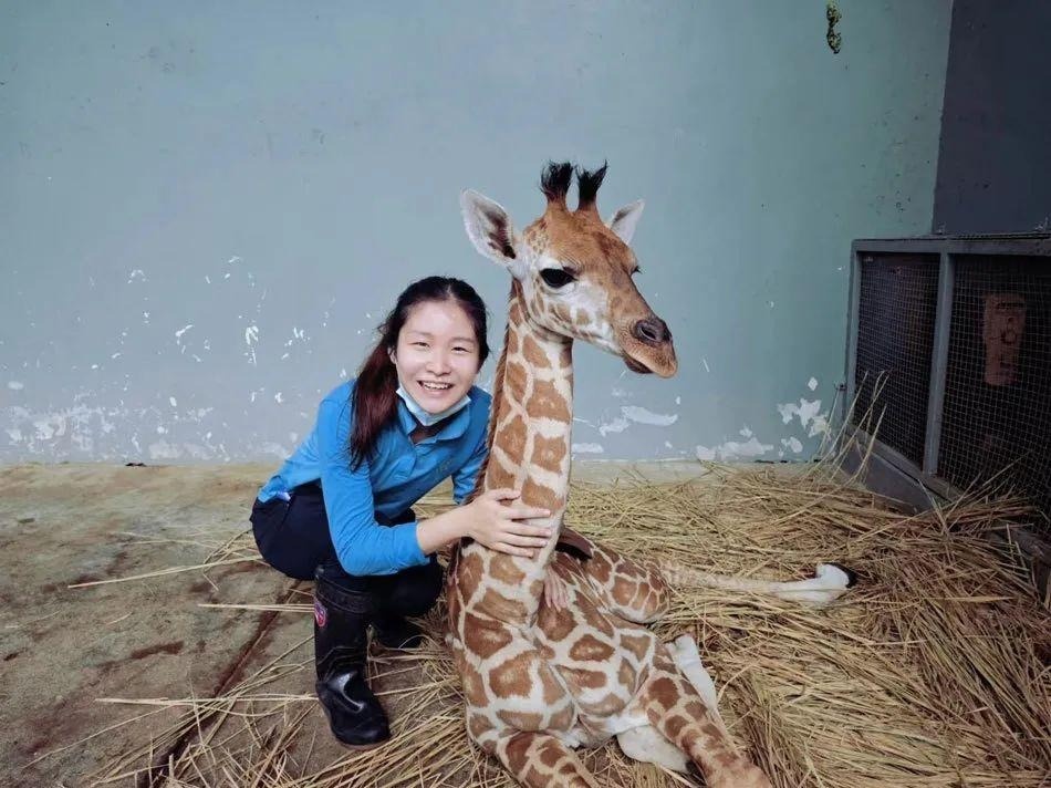 Thac si Cambridge gay tranh cai vi vao so thu don phan, cham dong vat hinh anh